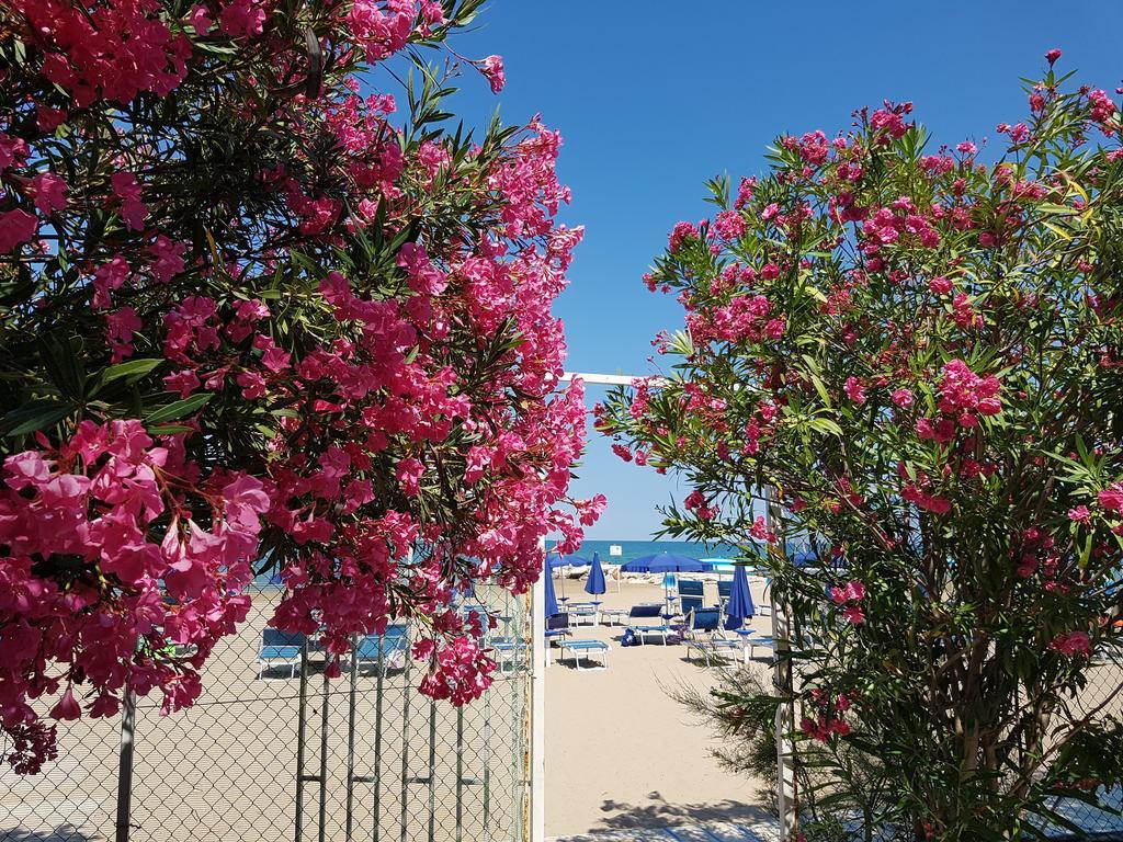 Hotel Gabbiano Beach Vieste Kültér fotó